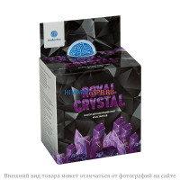 Научно-познавательный набор для опытов Royal Crystal